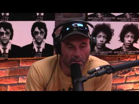 Joe Rogan Was Contacted by Scientology, Reads Their Statement