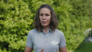 Pflege Von Wildstrauchhecken Im Siedlungsraum