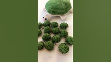 Jogo da memória tartaruga 🐢tutorial completo aqui no canal 🩵#tutorialamigurumi #crochet
