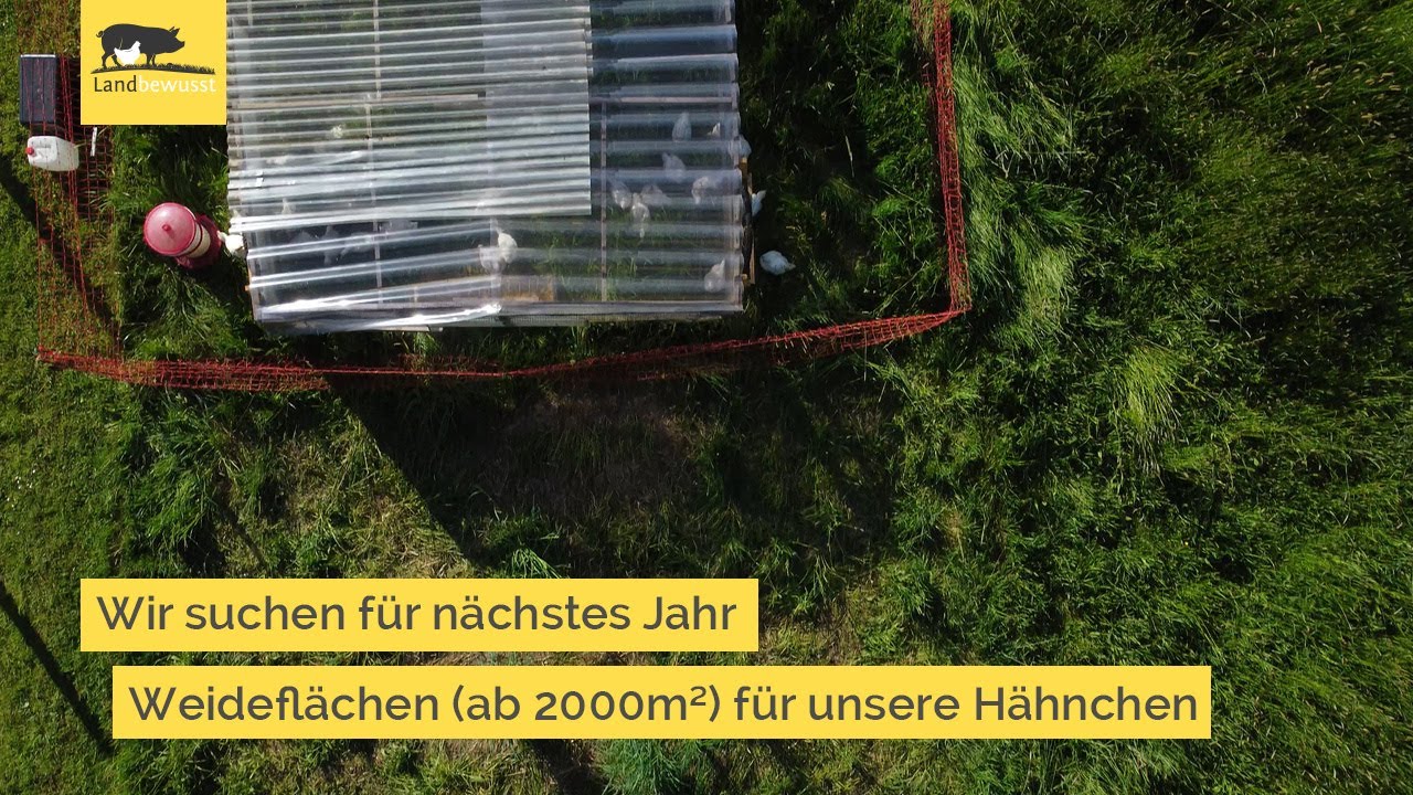 Weidefläche in Elmpt und Umgebung gesucht