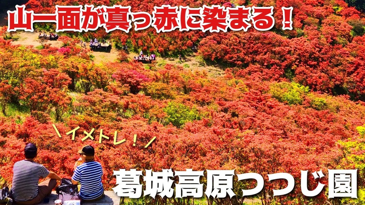 【葛城山】葛城高原つつじ園に行く前に動画でイメトレ！