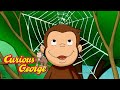 Amazing Spider Webs! 🐵 Curious George 🐵 Kids Cartoon 🐵 Kids Movies Mp3 Song