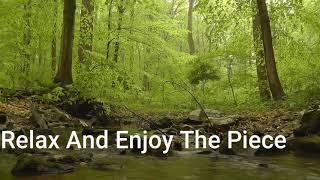 30 Minutes of Encounter with Nature and Inner Peace