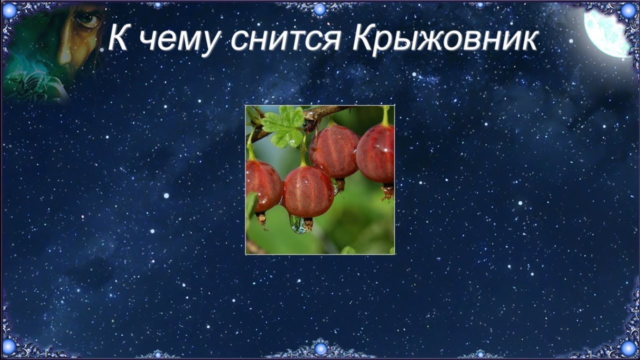 К чему снится собирать воду. Сон крыжовник. К чему снится крыжовник. Во сне есть крыжовник. К чему снится есть крыжовник.