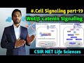 Wnt/β-catenin signaling Pathway || Cell signaling Part-19 || BSc 1st year || CSIR NET Life Sciences