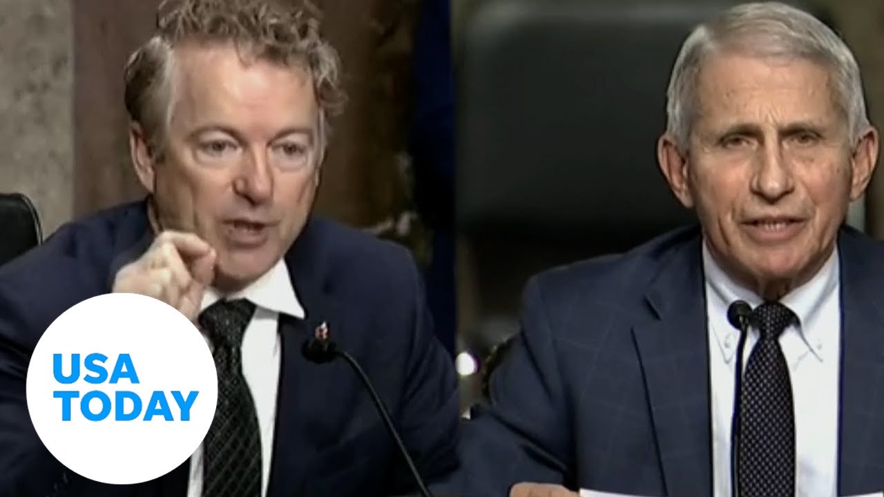 Watch Sen. Paul and Dr. Fauci's COVID-19 clashes | USA TODAY