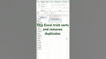 Get a Unique Sorted List in Excel