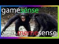 GAMESENSE (skeet.cc) 1v1 MEMESENSE (csgo hvh feat. best cheat)