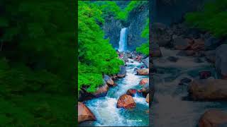 Ninnindale | Songs | Ytshorts | Shorts | Trending | YouTube Shorts | Kannada | Music | Viral |