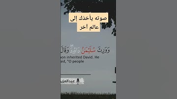 هذا القارئ سيكون حديث الجميع من الآن | صوته فيه راحة نفسية عجيبة ♥️