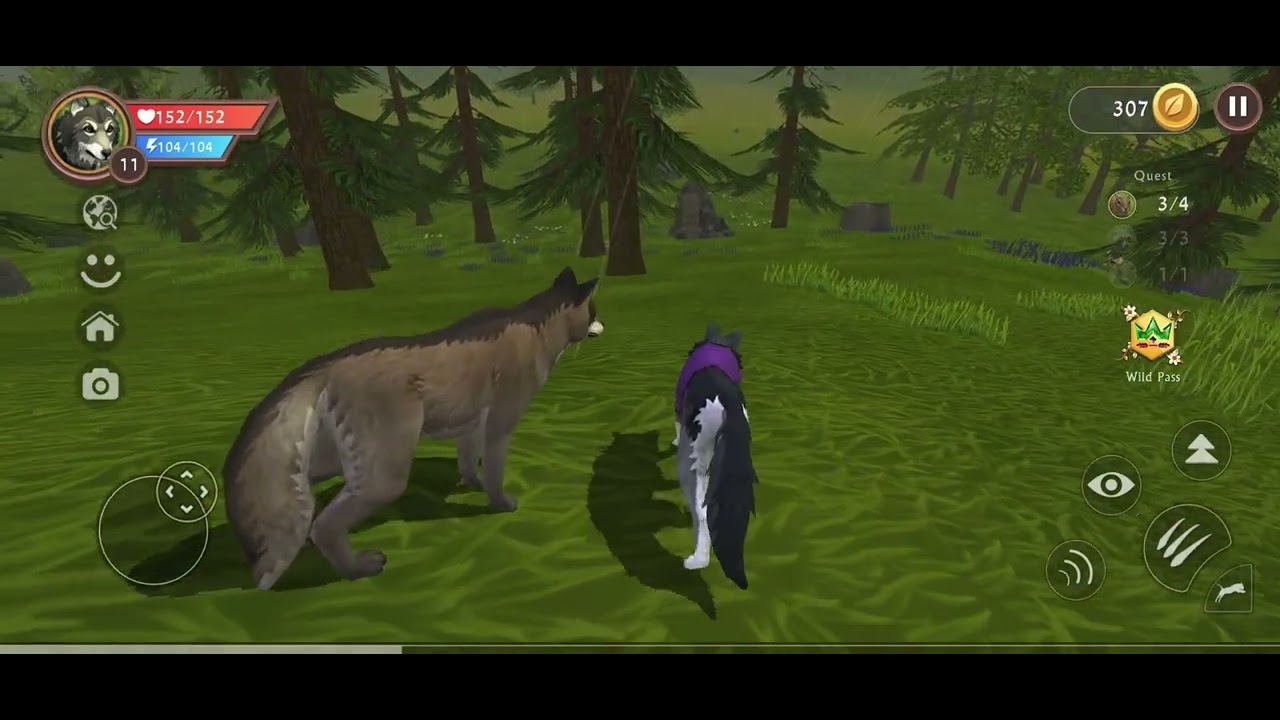 INTRODUCTION TO MY CHANNEL