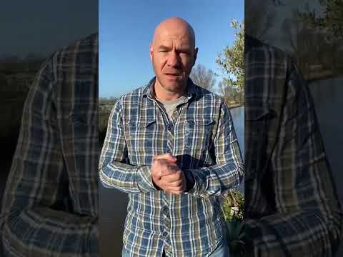 Steiger Talks #6