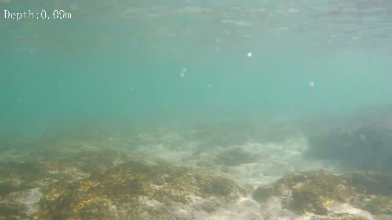 2026/02/22 京丹後 小天橋 水中映像