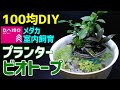 プランター【メダカのビオトープ】作り方 100均DIY!メダカ室内飼育 ダイソーアイテムで作成～How to make a biotope～