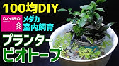 卓上 メダカのビオトープ 掃除のしかた 100均diyメダカ室内飼育メンテナンス Mini Biotope Maintenance Youtube
