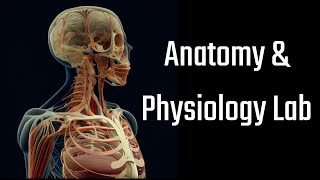 Anatomy   Physiology app screenshot 3