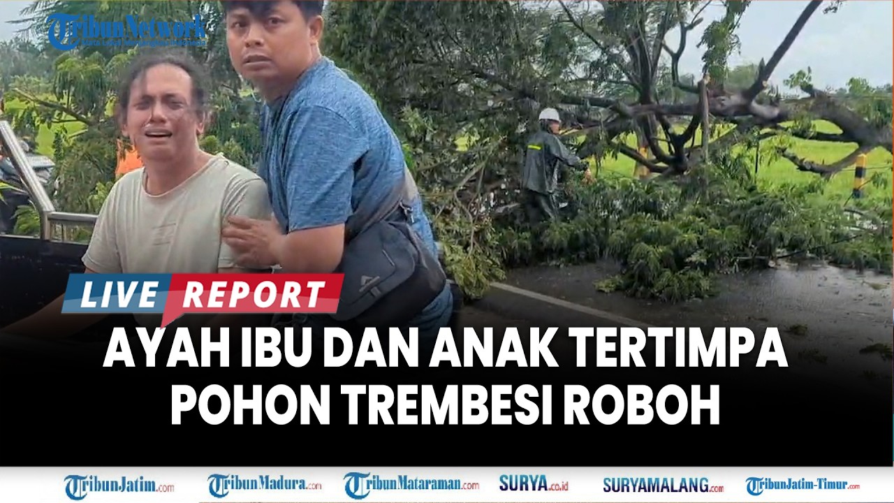 🔴ANAK MENINGGAL DUNIA SEUSAI SATU KELUARGA TERTIMPA Pohon Tumbang di Magetan, Pohon Trembesi Roboh