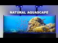 3 tips for a natural reef tank aquascape  coral aquarium style