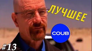 Лучшие Приколы в COUB #13 | В мире животных Лучшие Приколы в COUB #13 | В мире животных