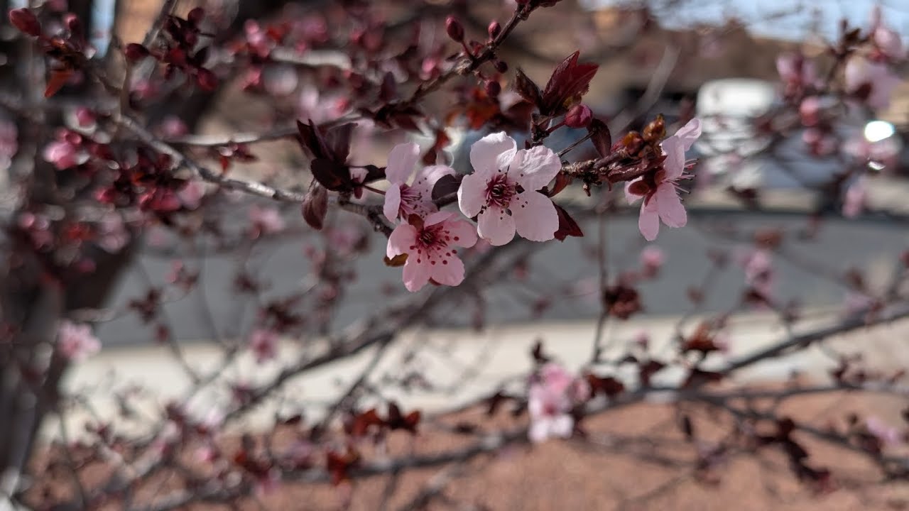 Tuesday Coffee and Chit Chat, THANK YOU!!!