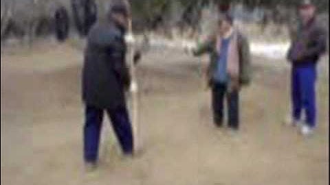 Deciphering Gao Ba Gua Zhang- teaser