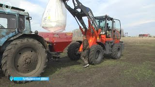 Аграрии Новосибирской области засеяли первую тысячу гектаров пшеницы