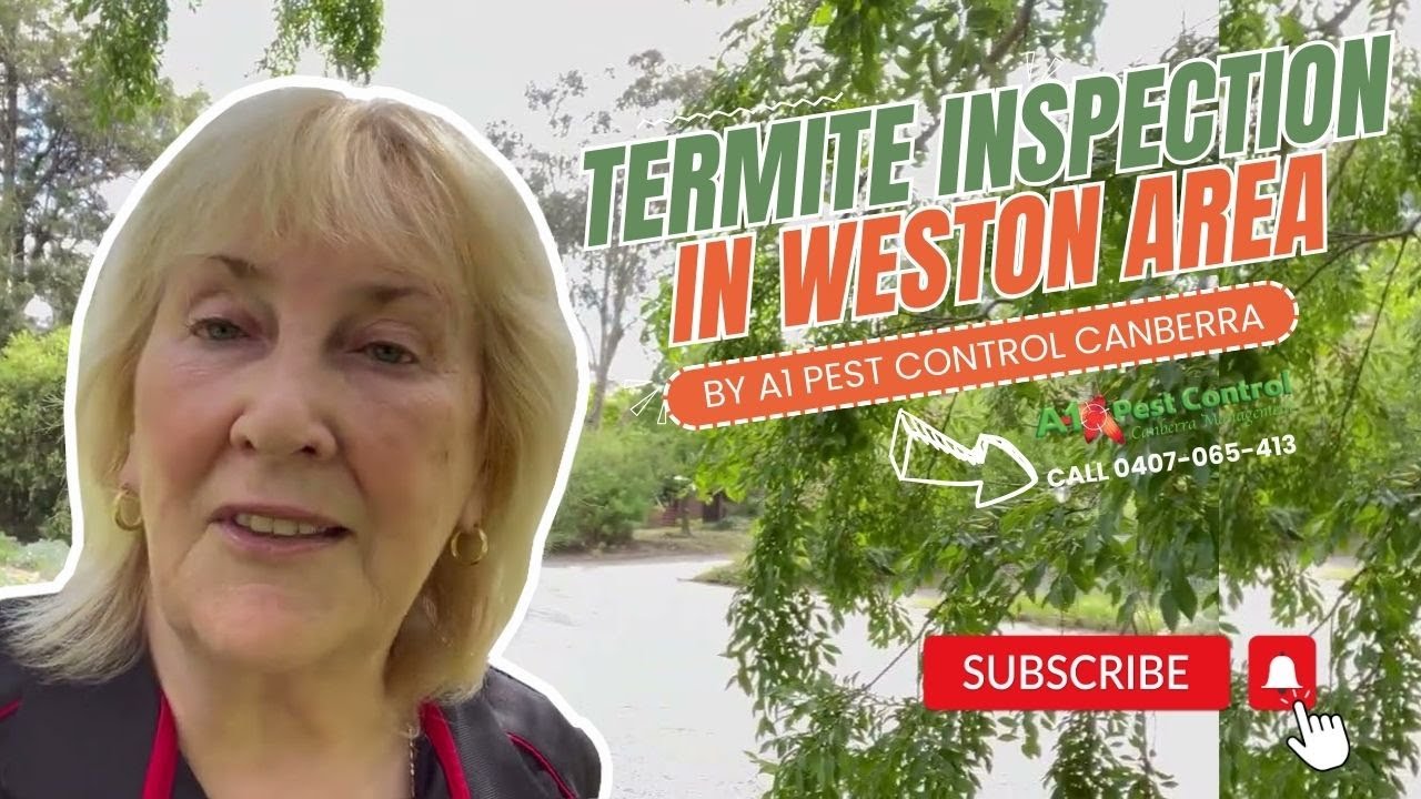 A1 PEST CONTROL CANBERRA IN WESTON AREA | TERMITE INSPECTION SERVICES ...