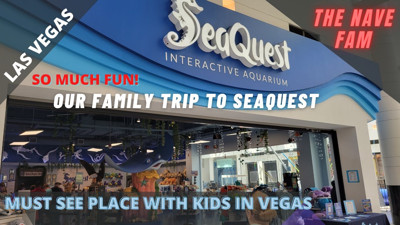 Our Trip to Las Vegas Seaquest Interactive Aquarium YouTube