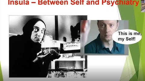 George NORTHOFF: Insula - Between Self and Psychiatry