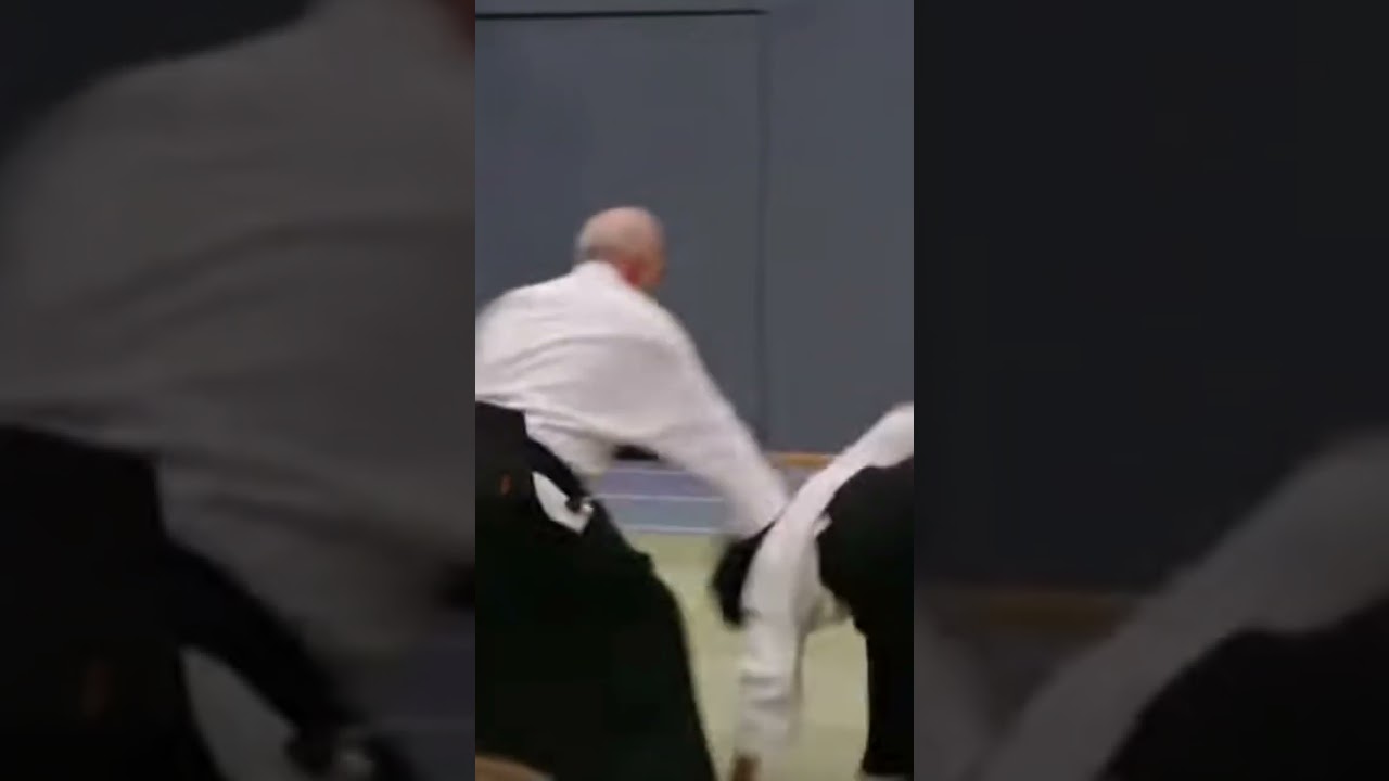 Iriminage - Aikido Basic technik using a sword 