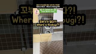 출근 전 구조냥들 체크! 꼬부기 어디 갔지? _Before Work… Where’s Kkobugi? 😹