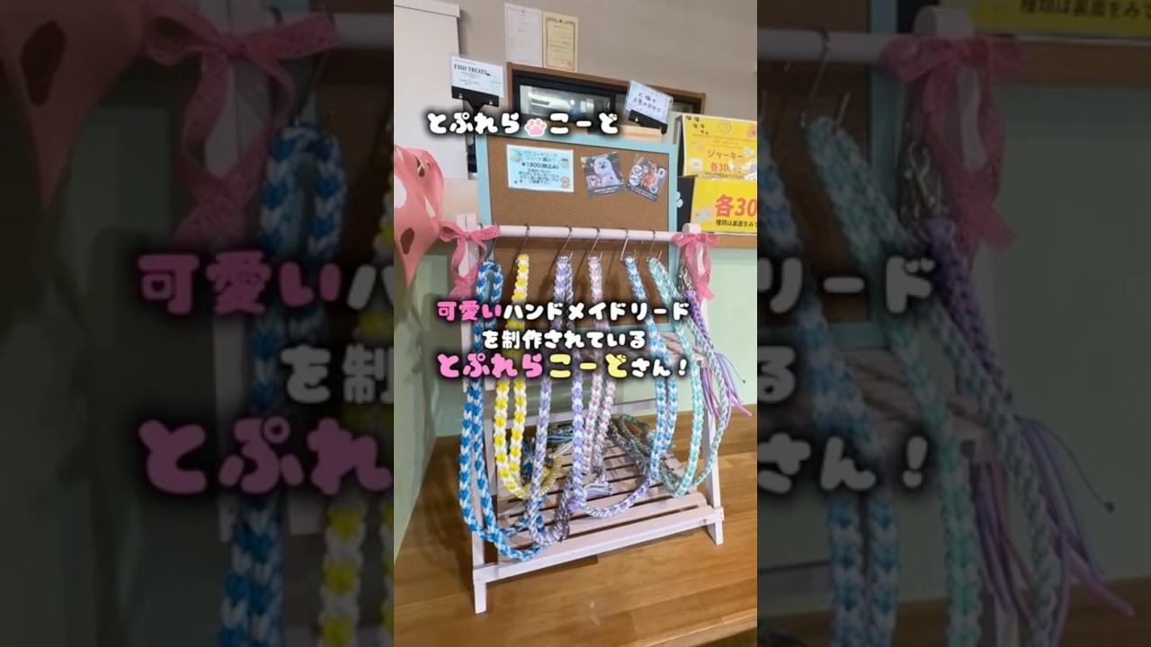 DOGCAFEBellさんでまたまた新たな素敵な出会い🐶🐾‪‪✨️とぷれら🐾こーど🐾様ありがとうございます✨️