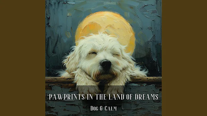 Promote Peace and Relaxation