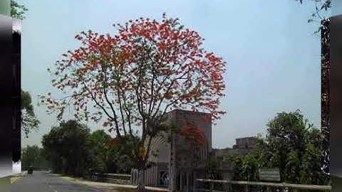 Beauty Of HSTU:Hajee Mohammad Danesh Science & Technology University