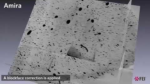 Amira extension   XImagePAQ   Segmentation through classification