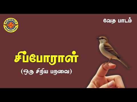சிப்போராள் || TPM MESSAGES TAMIL || BIBLE STUDY