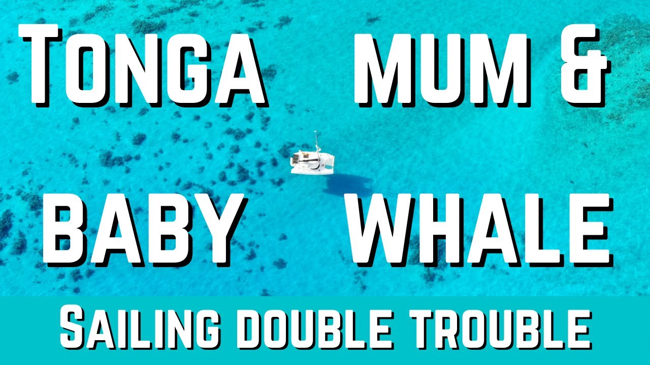Tonga Drone footage of HUMPBACK WHALES mum and baby!