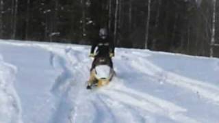 Ski-doo Renegade 800
