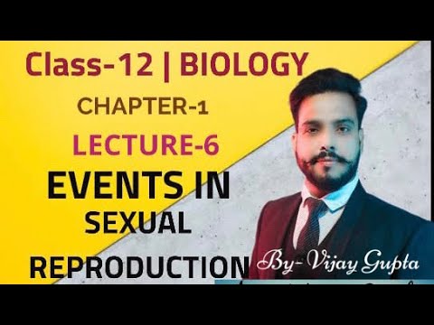 Events in Sexual Reproduction. Class-12/chapter-1/ lecture-6(pre & post Fertilization events)