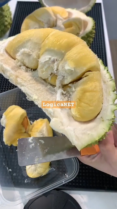 Asiknya Lagi Belah Duren.#shorts #shortsfeed #belah #duren #durian