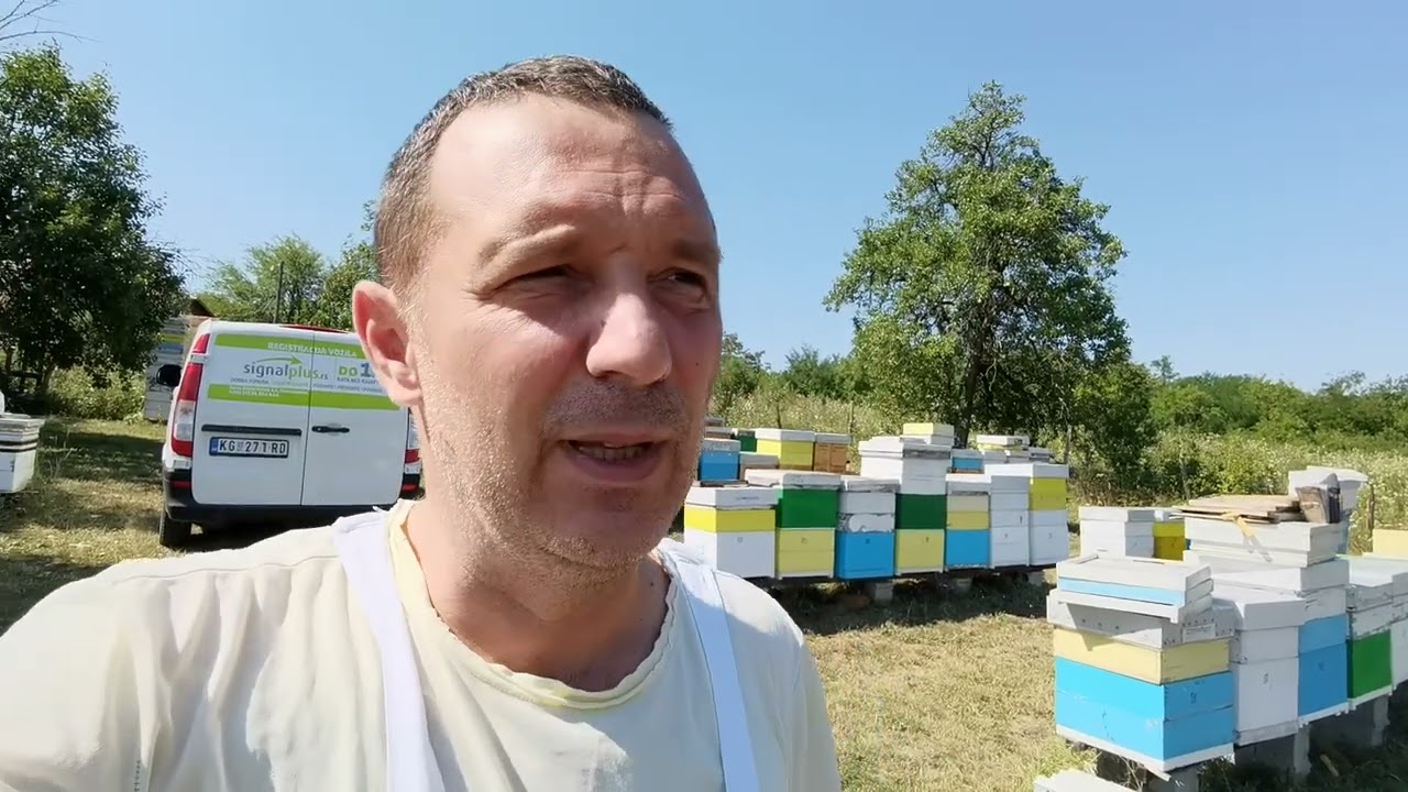 Vreme darivanja - 08. avgust 2022. godine