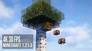 Minecraft Cinematics 4K 30 Complementary Shaders