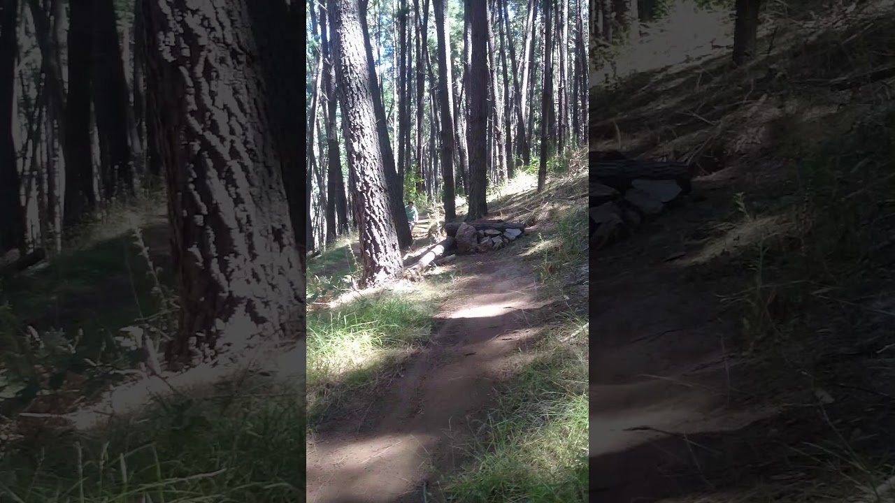 kangarilla gate 19 downhill fail