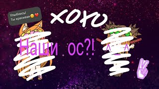 Пораметры Ос и наряды/ BEAR & FOX