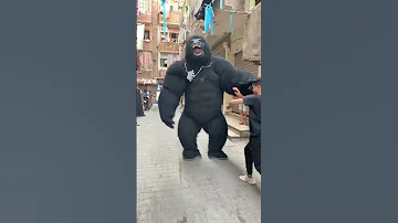 حد شاف الغوريلا عملت اي Explore Music Dance Song اكسبلور ترند الغوريلا مهرجان 