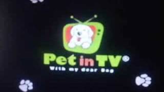 「Pet in TV」 with my dear Dog Pet in TV - with my dear Dog - YouTube