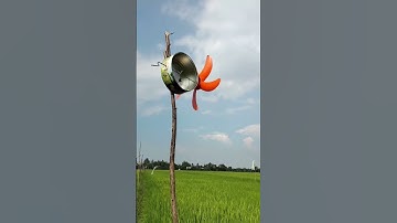 Cách đuổi chuột 🐀 trên cánh đồng ruộng nha mn 🐀🐀🐀🌾🌾🌾🌾🌾🌾🌾