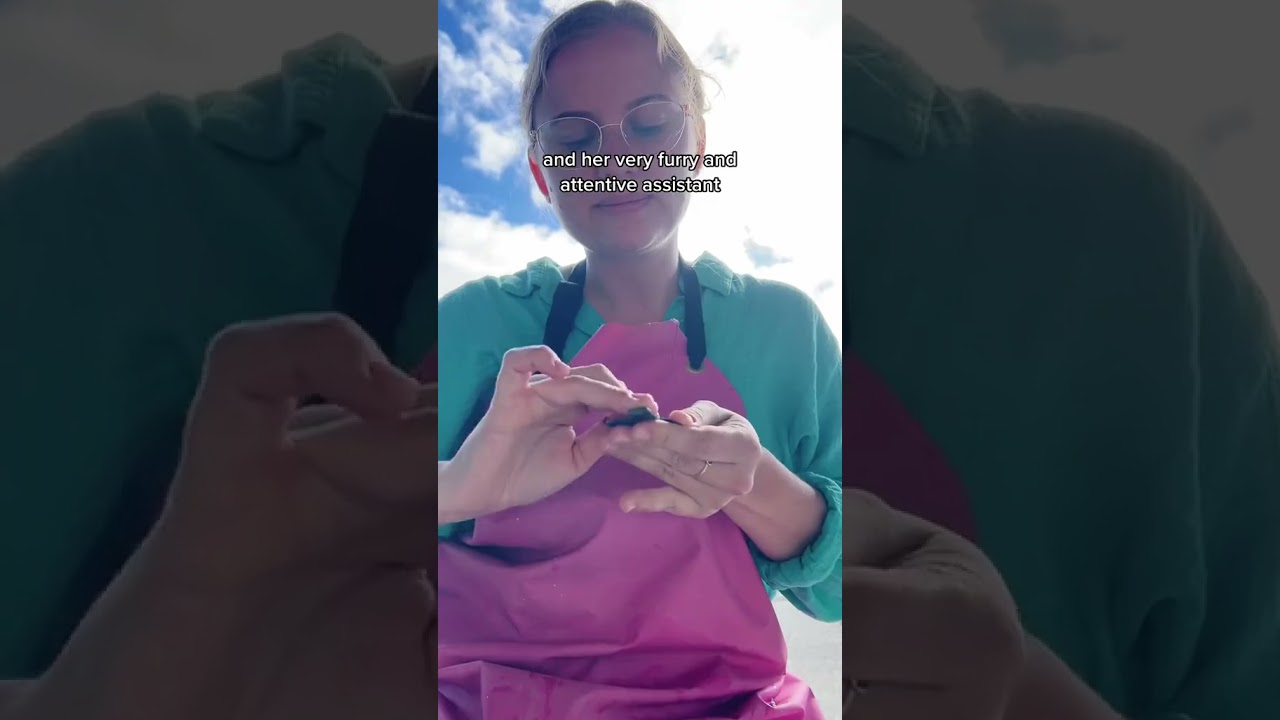 Franz Josef - Haast | South Island Road Trip, NZ