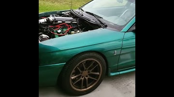 1997 Cobra Todd Warren/bullet cams fresh idle