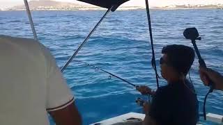 Red tuna fishing  king fish